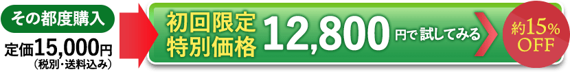 お試し価格12,800円で注文する