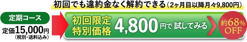 初回4800円で定期コースをお得に注文する