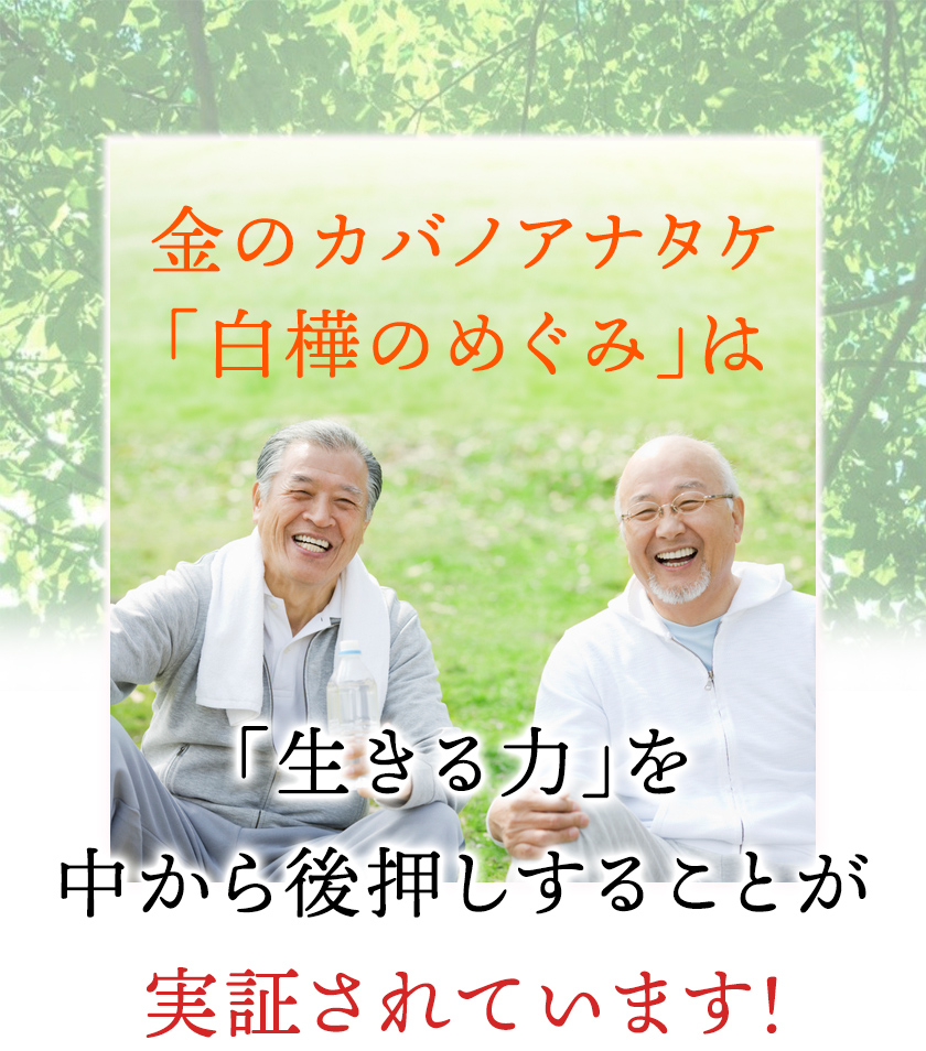 金のカバノアナタケ「白樺のめぐみ」は継続的な飲用で「生きる力」をなかから後押しすることが実証されています